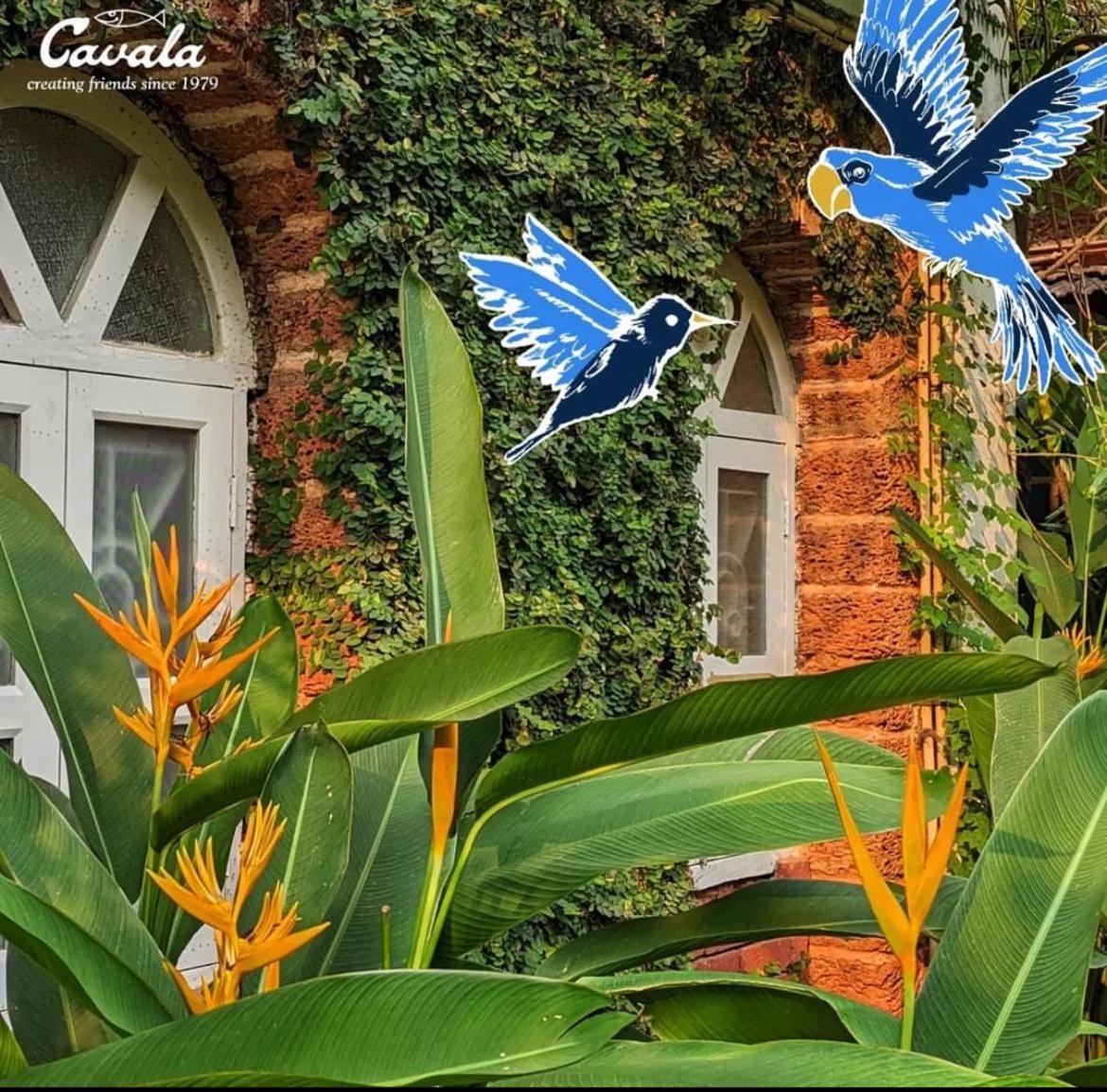 Cavala The Seaside Resort Baga Exterior foto